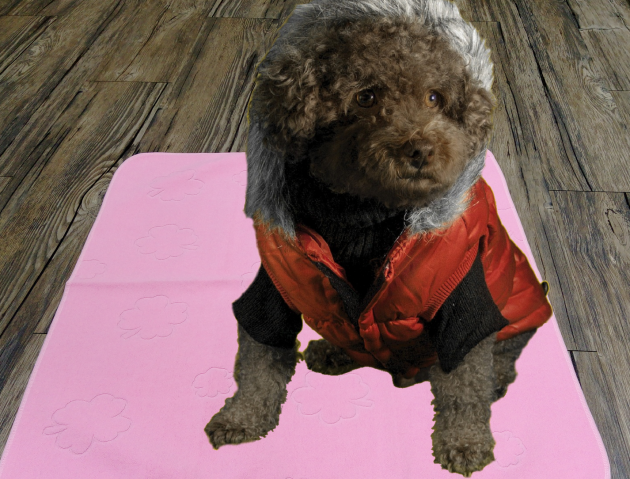 Reusable Pet Training Pad 1