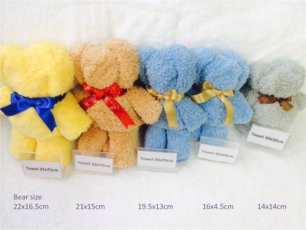 Towel Bear Gift Set 5